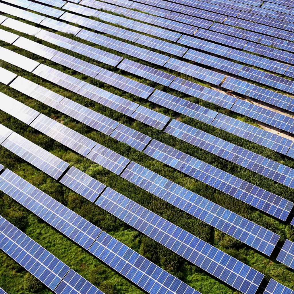 Reihenweise installierte Solarmodule auf grüner Wiese im Solarpark des Energieunternehmens Wattner – nachhaltige Stromerzeugung für die Energiewende in Deutschland.