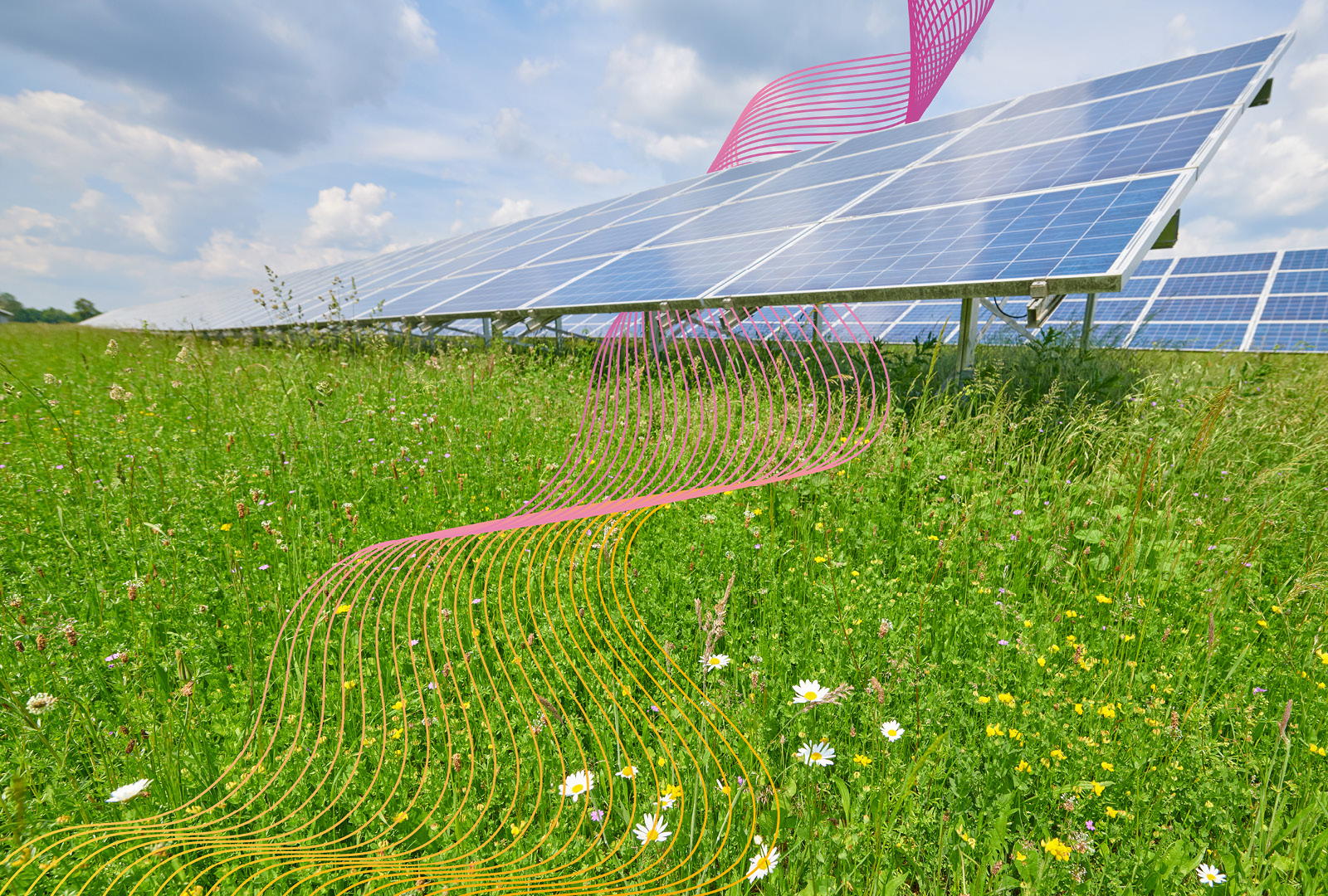 Solarpark in einem blühenden Feld unter teils bewölktem Himmel, ergänzt durch dynamische digitale Grafiken in Lila und Orange – symbolisieren die Verbindung von Natur und Technologie im Sinne nachhaltiger Energiegewinnung und Energiedesign das wirkt.